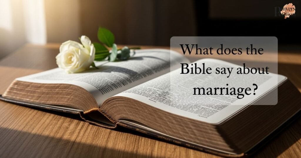 what-does-the-bible-say-about-marriage